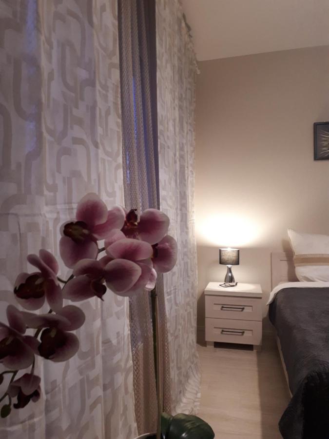 Vena Apartment Vratislav Exteriér fotografie