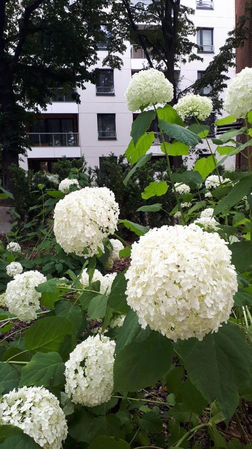 Vena Apartment Vratislav Exteriér fotografie